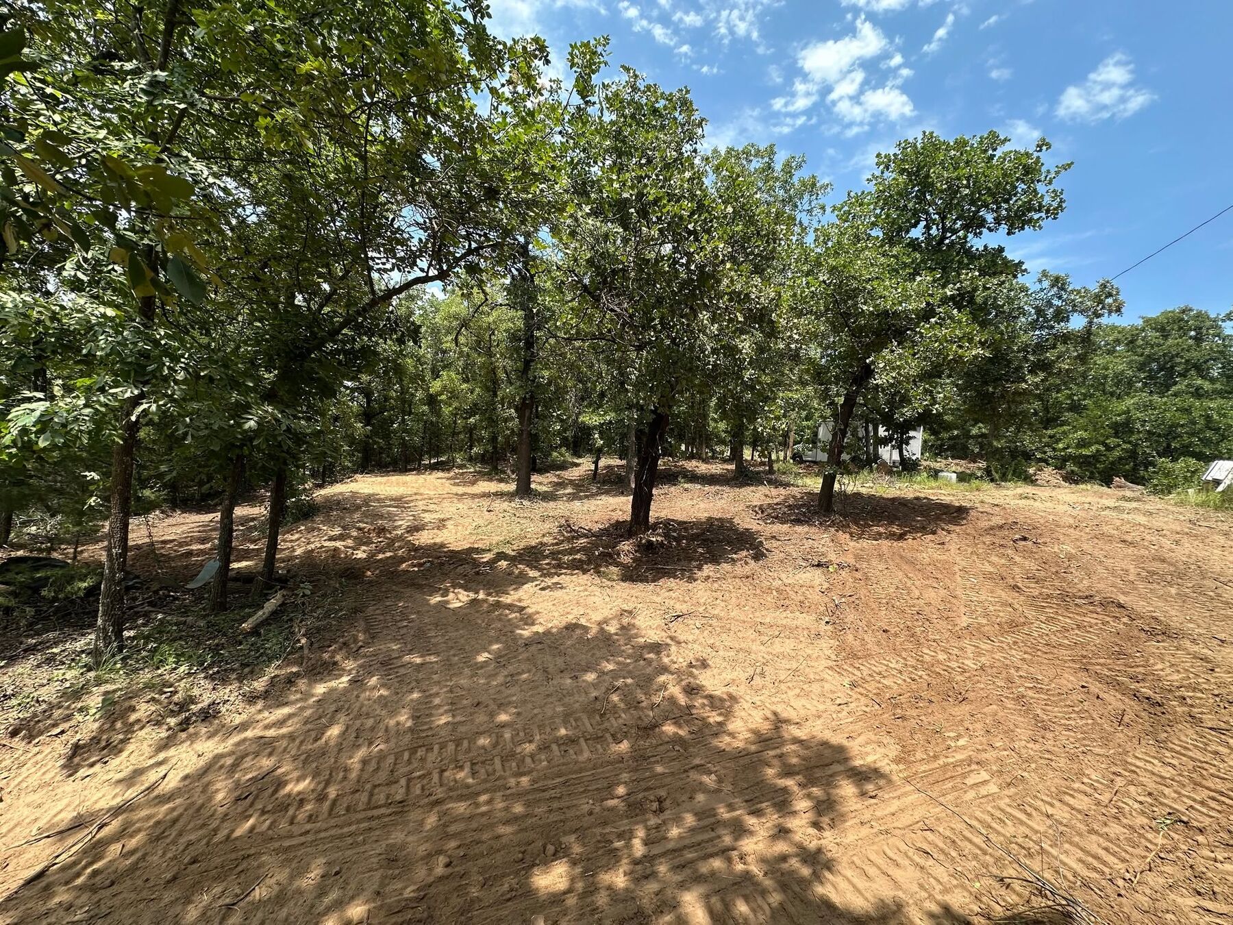 Wooded acreage thinned and cleared with mature trees left standing