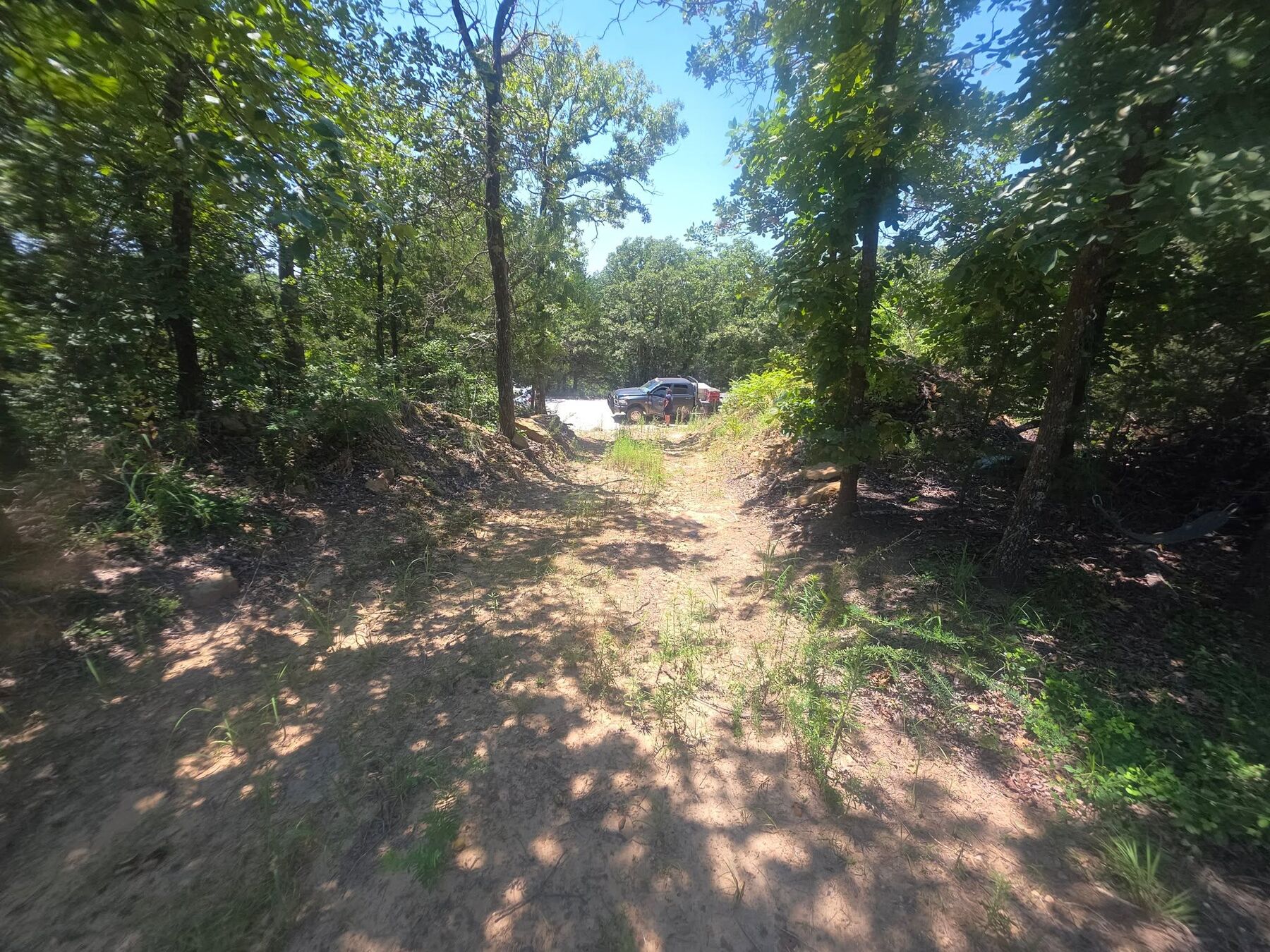 New access path cut through timber on a rural property