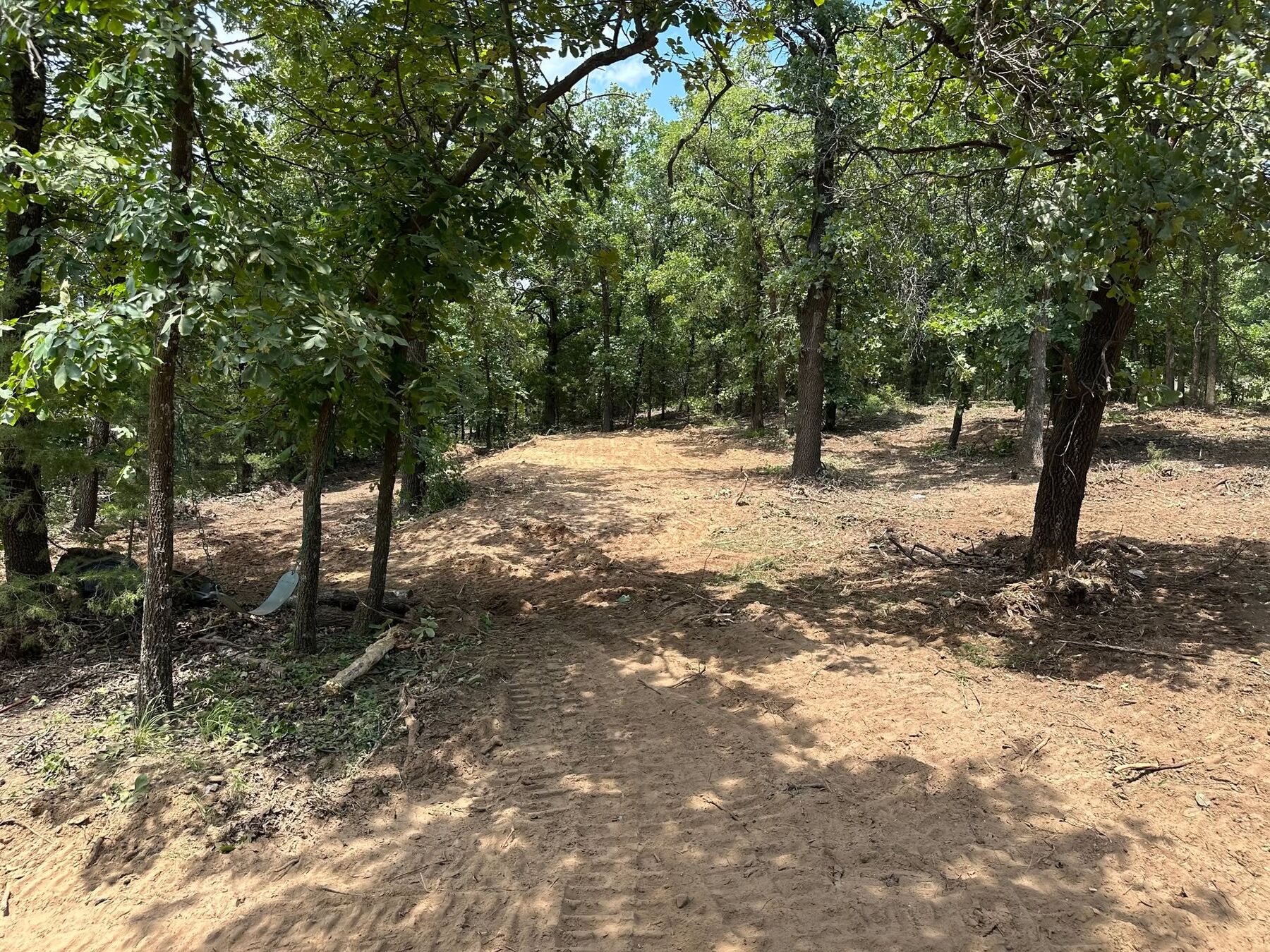 Mulched wooded lot with vegetation ground into a clean forest floor