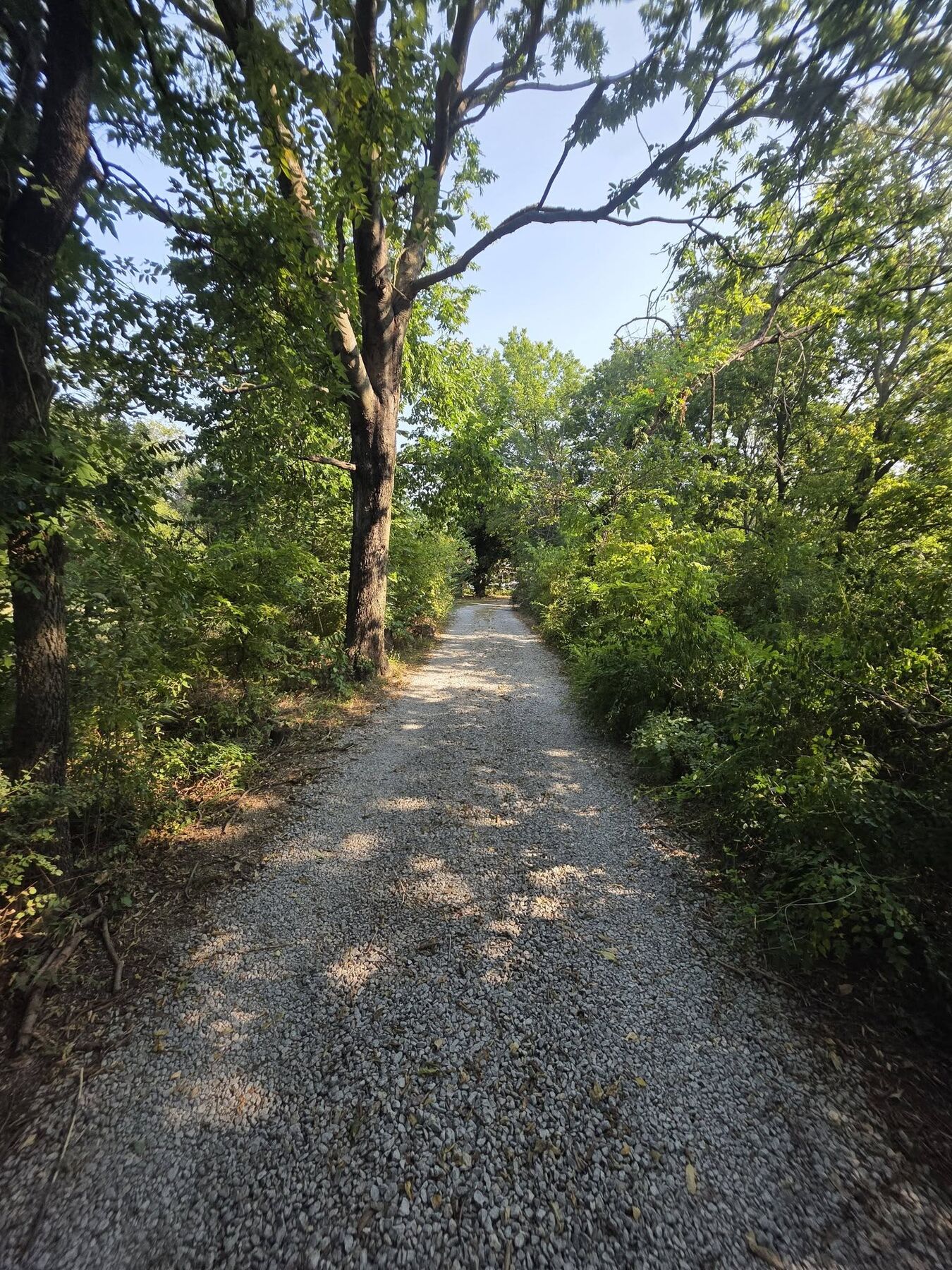 Gravel access drive running through a shaded corridor of trees