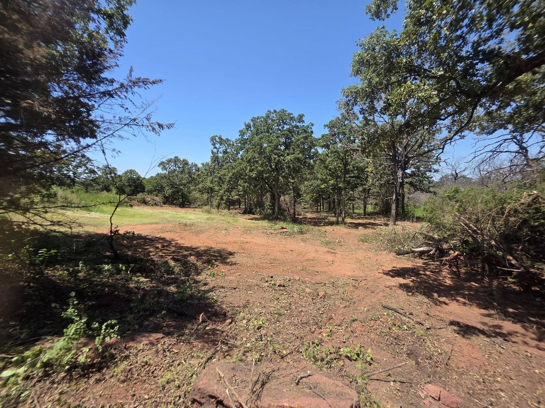 Dirt path cut and shaped through cleared brush on rural land