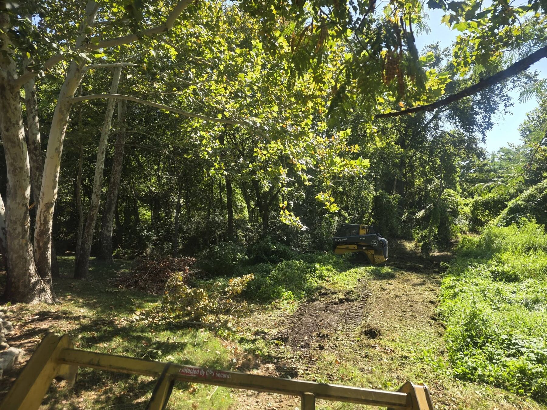 Clearing work in progress around a structure and heavy tree cover